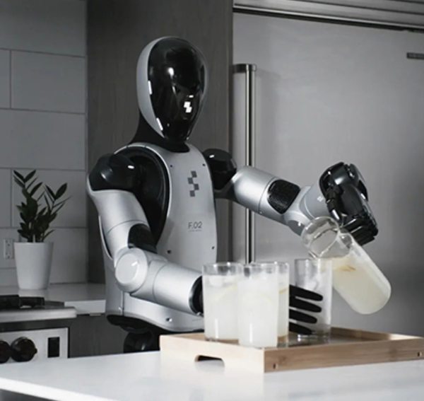 The Future of Humanoid Robots