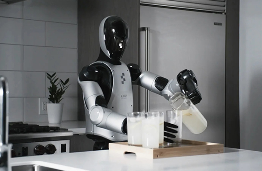 The Future of Humanoid Robots
