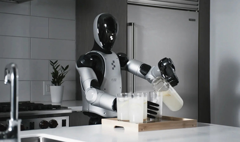 The Future of Humanoid Robots
