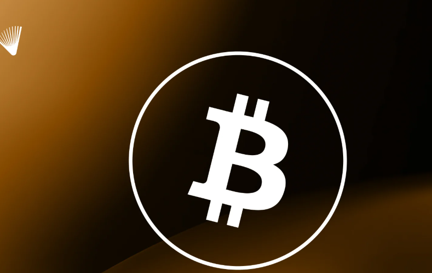 Why Companies Are Adding Crypto to Their Strategies